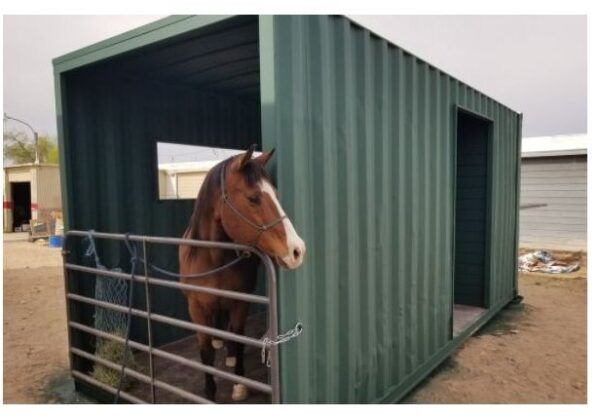 Caja de caballo de contenedores
